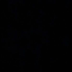 Meet your Posher, Mia